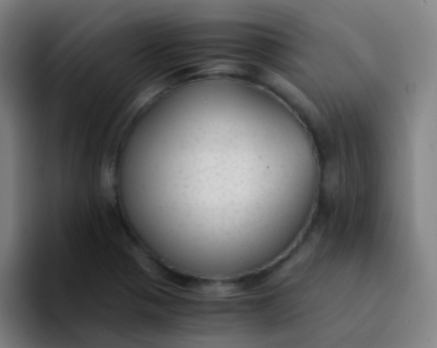 X0000094321321200711161921