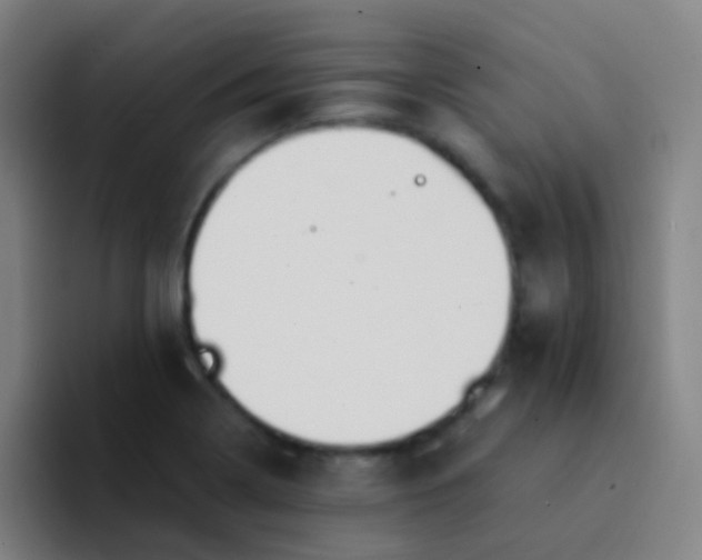 X0000094321322200711161921