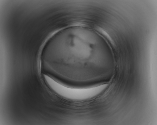 X0000094321323200711161921