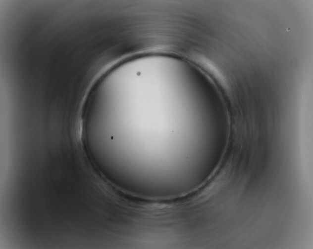 X0000094321324200711161921