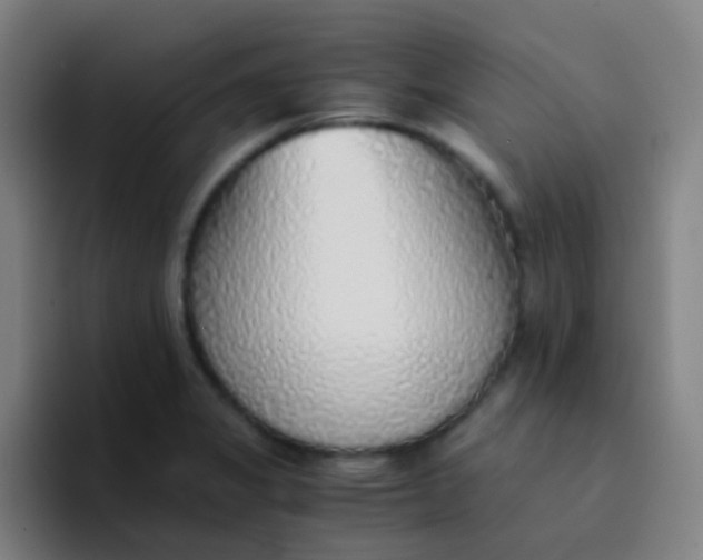 X0000094321325200711161921