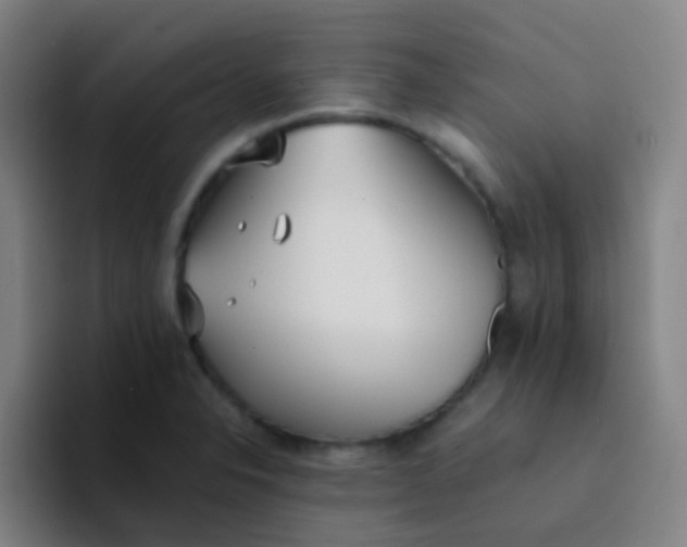 X0000094321326200711161921