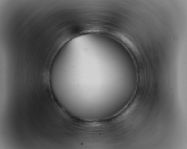 X0000094321329200711161921