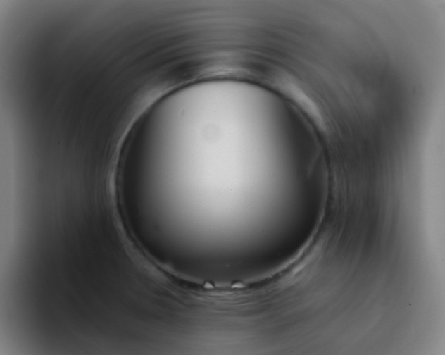 X0000094321330200711161921