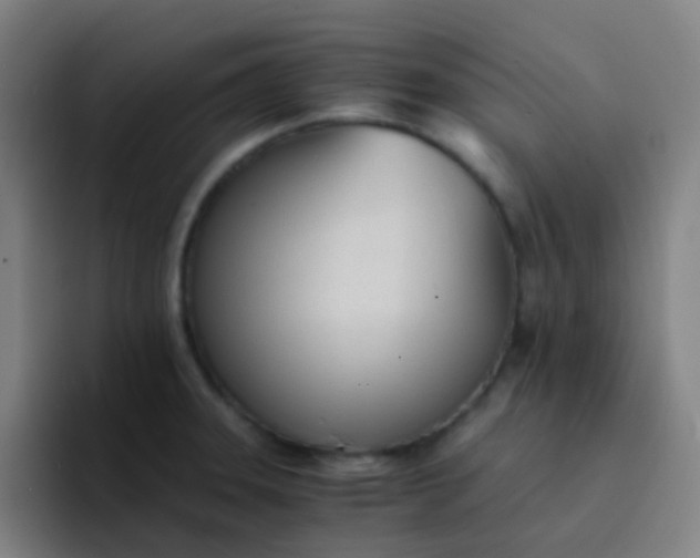 X0000094321331200711161921