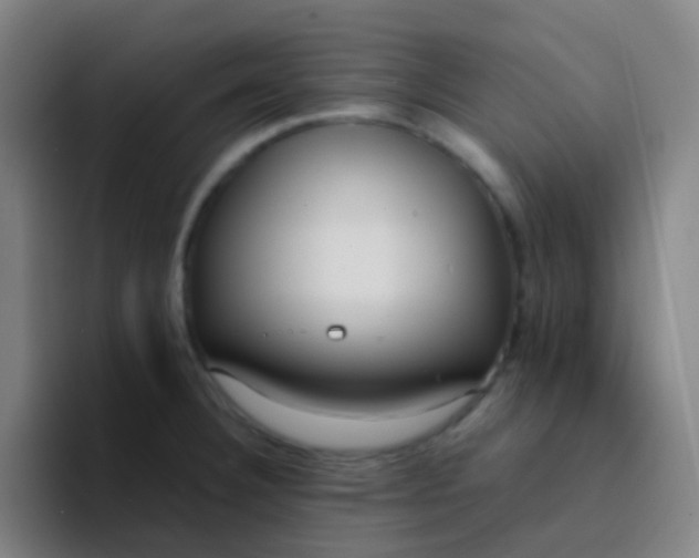X0000094321332200711161921