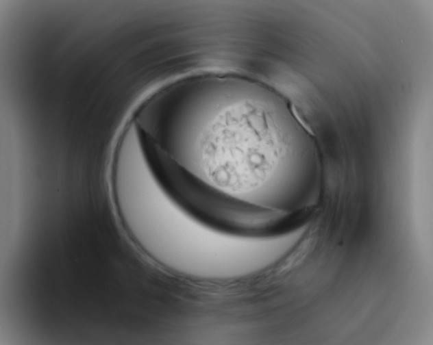 X0000094321334200711161922