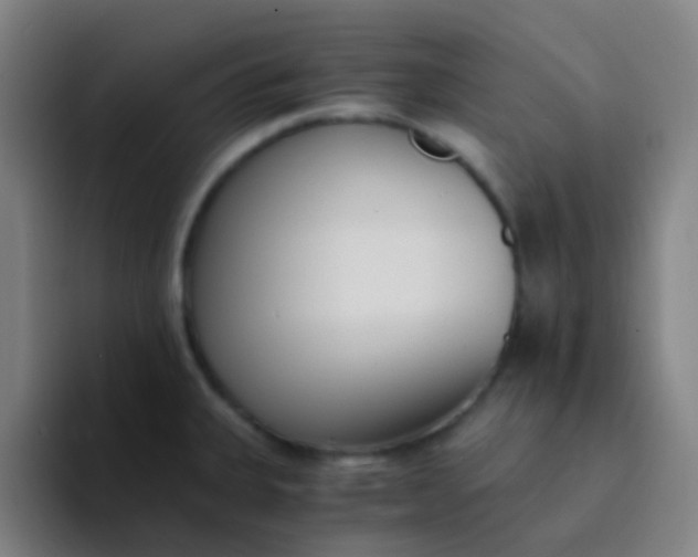 X0000094321335200711161922