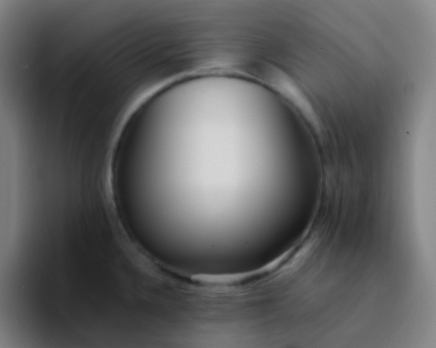 X0000094321336200711161922
