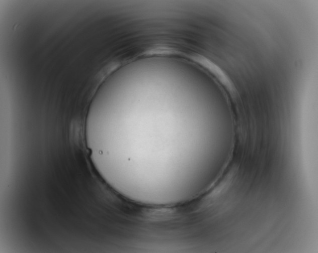 X0000094321337200711161922