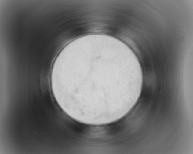 X0000094321338200711161922