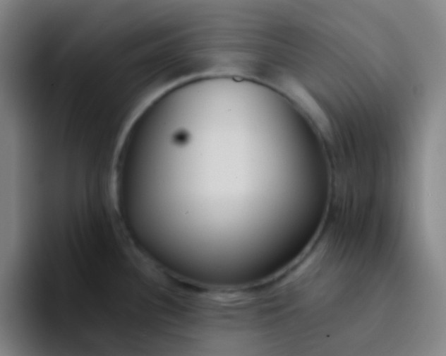 X0000094321340200711161922