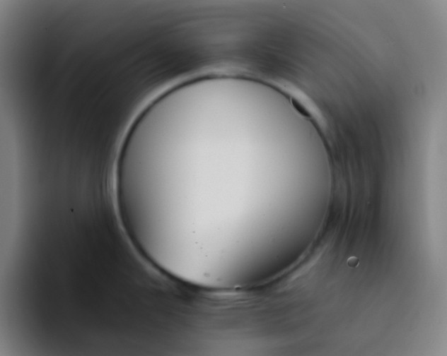 X0000094321343200711161922