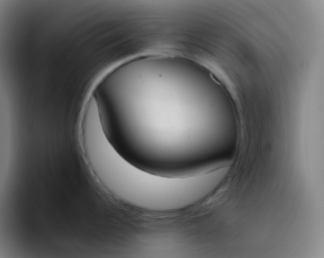 X0000094321344200711161922