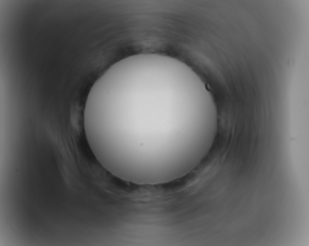 X0000094321346200711161921