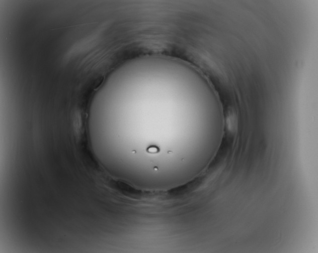 X0000094321347200711161921