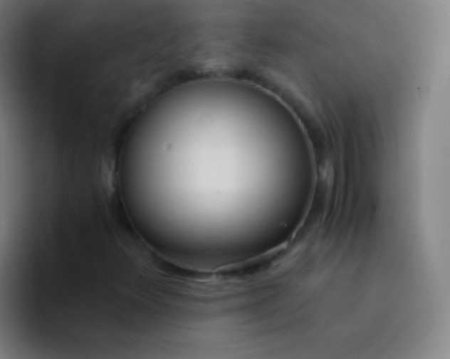 X0000094321348200711161921