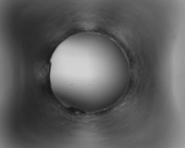 X0000094321349200711161921