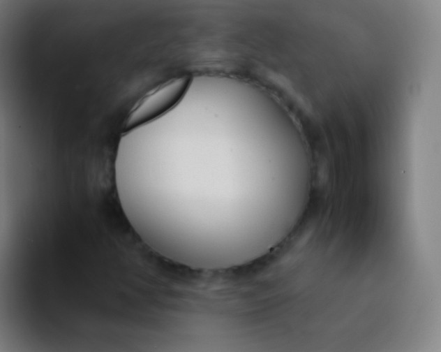 X0000094321350200711161921