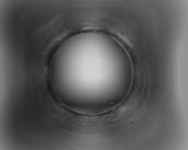 X0000094321351200711161921