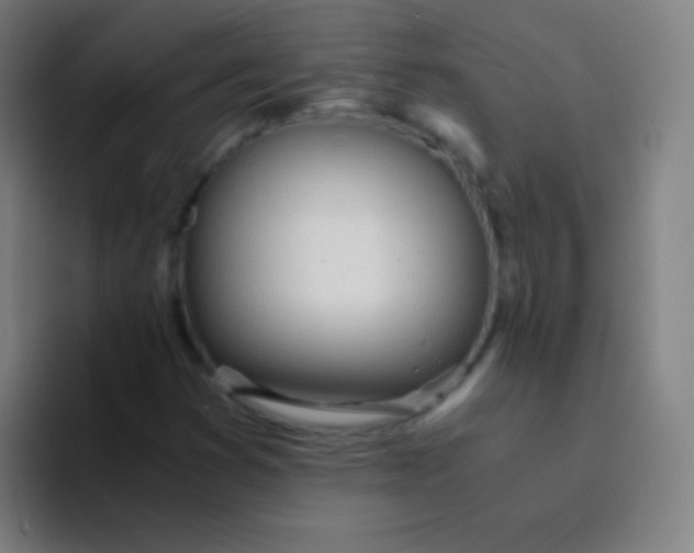 X0000094321353200711161921