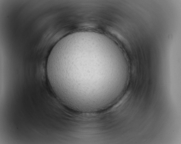 X0000094321354200711161921