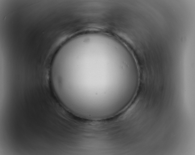 X0000094321355200711161921