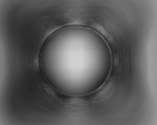 X0000094321356200711161921