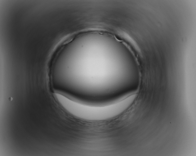 X0000094321360200711161921