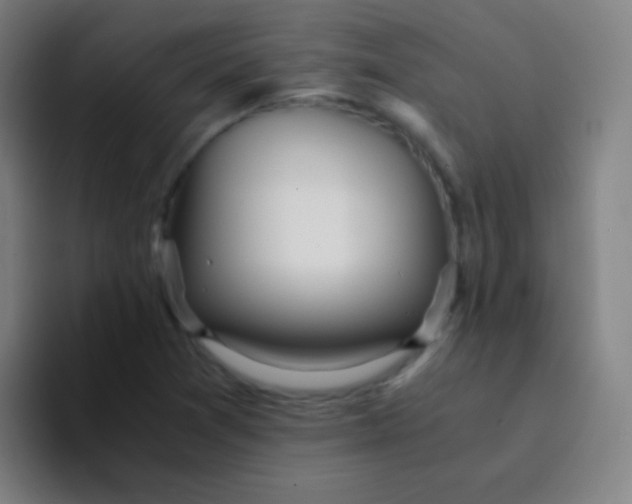 X0000094321361200711161921