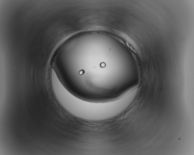 X0000094321364200711161921