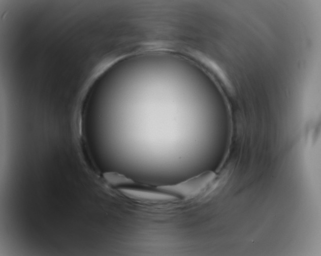 X0000094321365200711161921