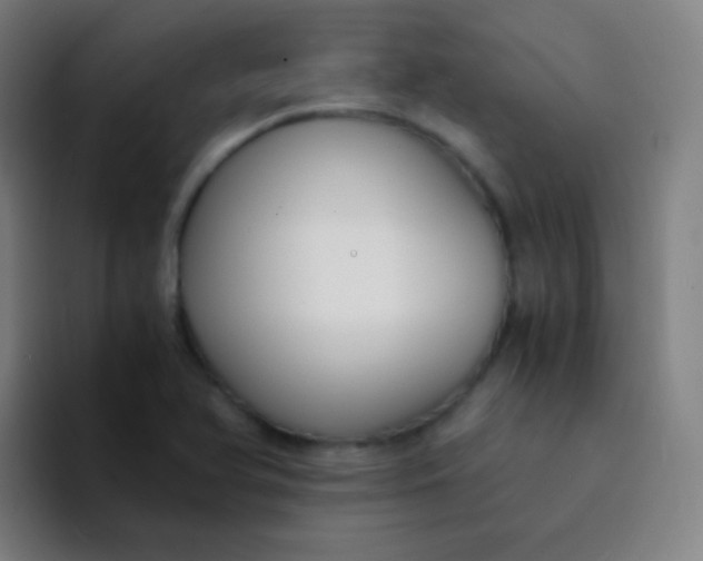 X0000094321366200711161921
