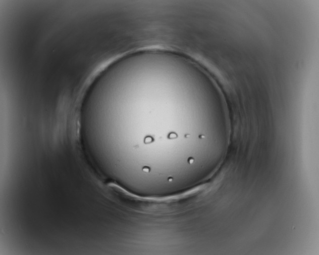X0000094321367200711161921
