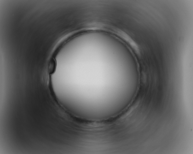 X0000094321368200711161921