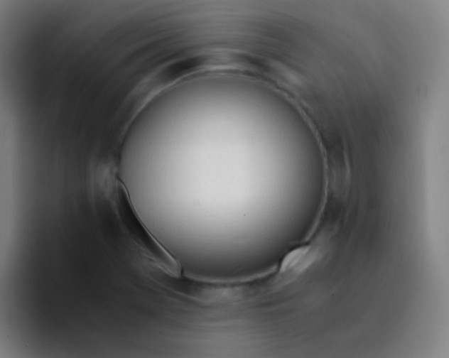 X0000094321369200711161921