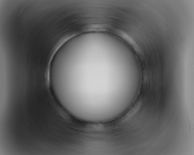 X0000094321370200711161921