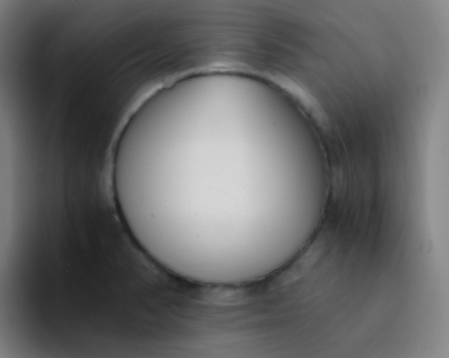 X0000094321374200711161921
