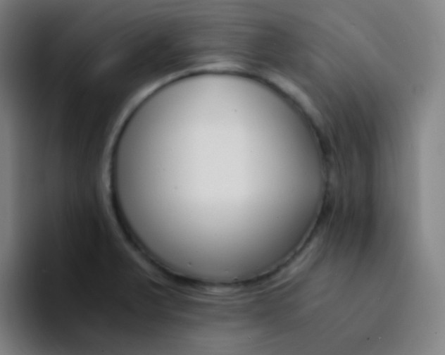 X0000094321375200711161921