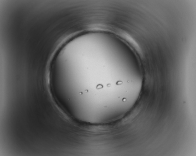 X0000094321376200711161921