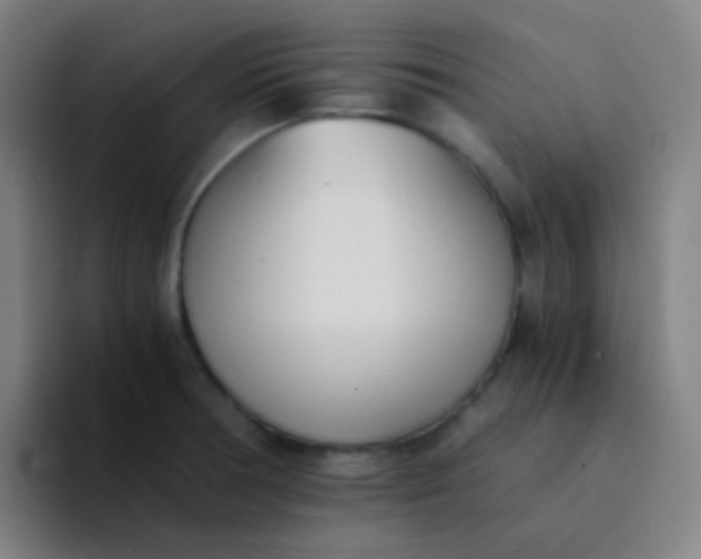 X0000094321378200711161921