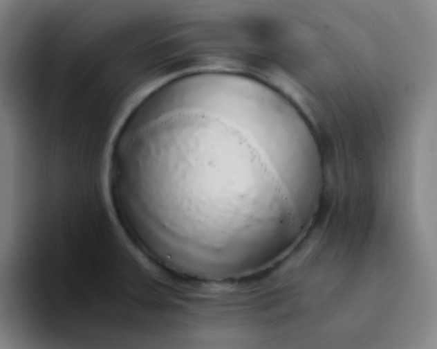 X0000094321379200711161921