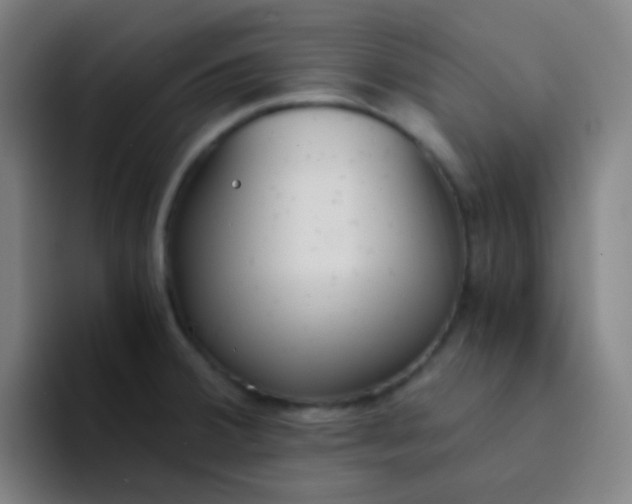 X0000094321380200711161921
