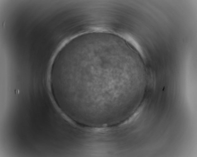 X0000094321381200711161921