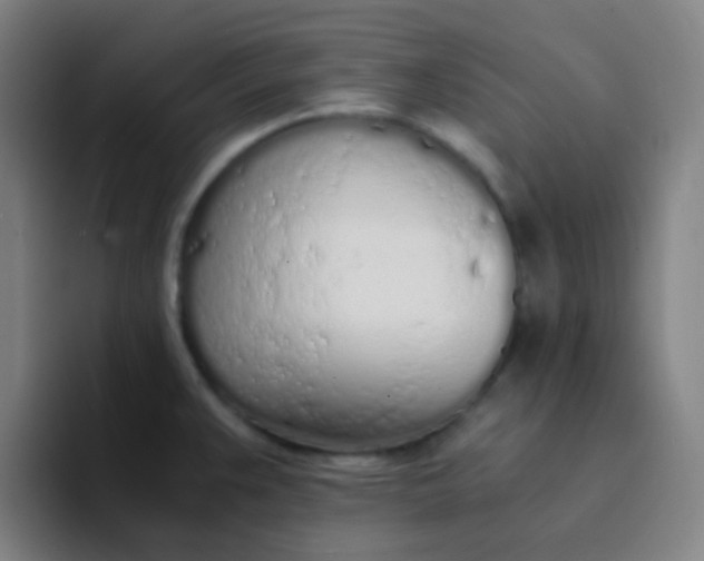 X0000094321383200711161921