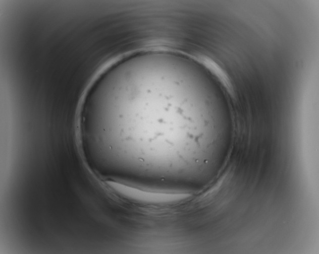 X0000094321384200711161921