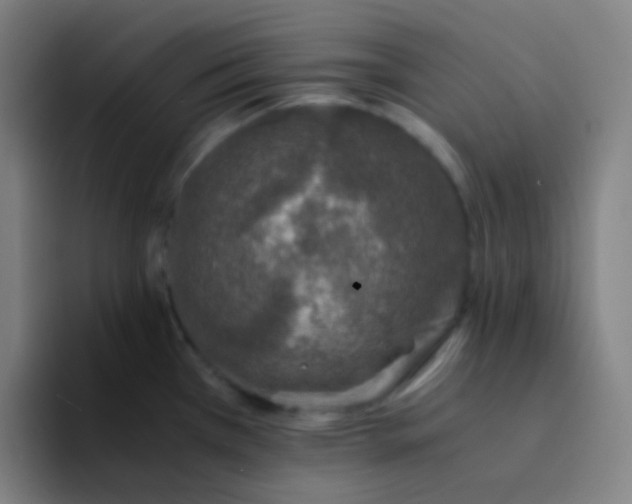 X0000094321385200711161921