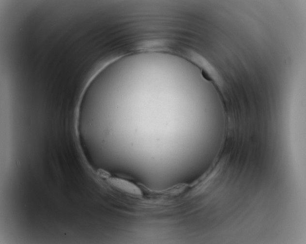 X0000094321386200711161920