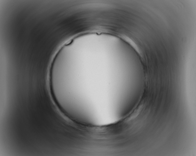 X0000094321387200711161920