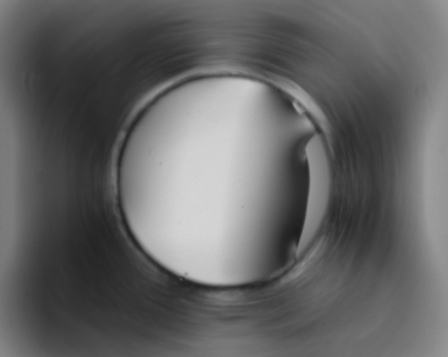 X0000094321388200711161920